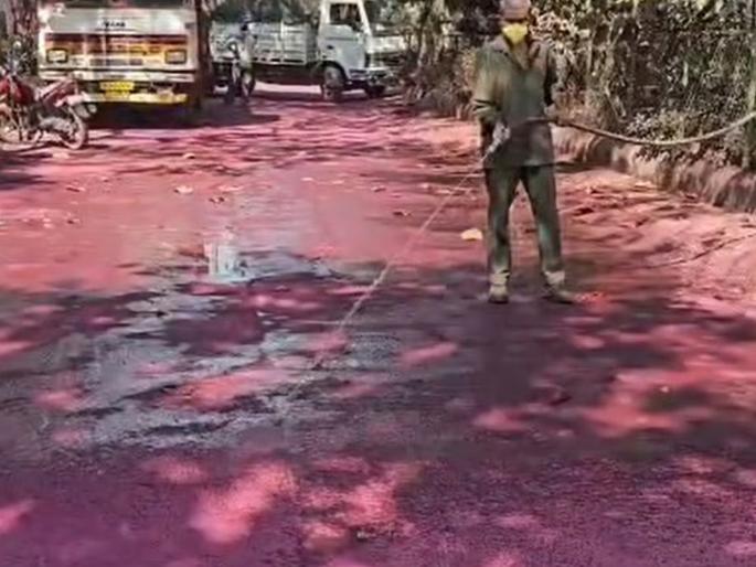 Pink road in Dombivli again after five years; Pollution issue on the agenda; The issue of relocation of chemical factories 'as it was' | डोंबिवलीत पाच वर्षांनंतर पुन्हा गुलाबी रस्ता; प्रदूषणाचा मुद्दा ऐरणीवर Pink road in Dombivli again after five years; Pollution issue on the agenda; The issue of relocation of chemical factories 'as it was' | डोंबिवलीत पाच वर्षांनंतर पुन्हा गुलाबी रस्ता; प्रदूषणाचा मुद्दा ऐरणीवर