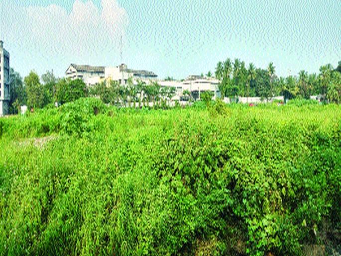 Plant Land Mills | निसर्ग उद्यानाच्या आश्वासनाला मूठमाती, मार्बल उद्योजकांवर अत्यल्प दरात भूखंडाची मेहरनजर Plant Land Mills | निसर्ग उद्यानाच्या आश्वासनाला मूठमाती, मार्बल उद्योजकांवर अत्यल्प दरात भूखंडाची मेहरनजर