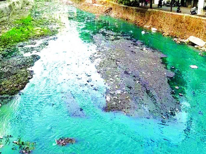 Polluting green drain from Dombivli | डोंबिवलीतून वाहतोय प्रदूषणकारी हिरवा नाला