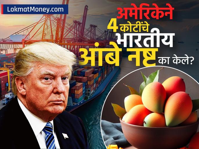 Why did America destroy Indian mangoes worth Rs 4 crore? A mistake cost everyone dearly | अमेरिकेने ४ कोटी रुपये किमतीचे भारतीय आंबे का नष्ट केले? एक चूक सर्वांना महागात पडली