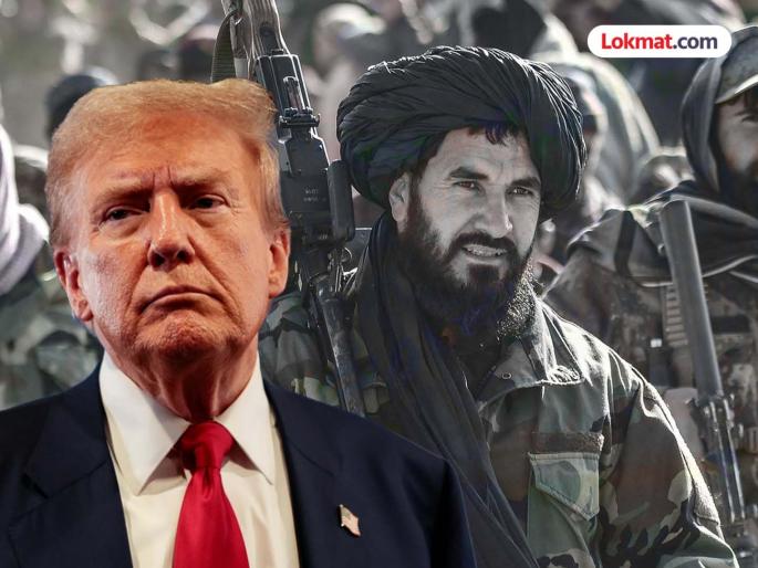 why taliban challenging US President donald trump on american weapons | "आता 'ती' अफगाणिस्तानची संपत्ती...!" डोनाल्ड ट्रम्प यांनी केली मोठी मागणी, तालिबाननं एका वाक्यात धुडकावून लावली why taliban challenging US President donald trump on american weapons | "आता 'ती' अफगाणिस्तानची संपत्ती...!" डोनाल्ड ट्रम्प यांनी केली मोठी मागणी, तालिबाननं एका वाक्यात धुडकावून लावली