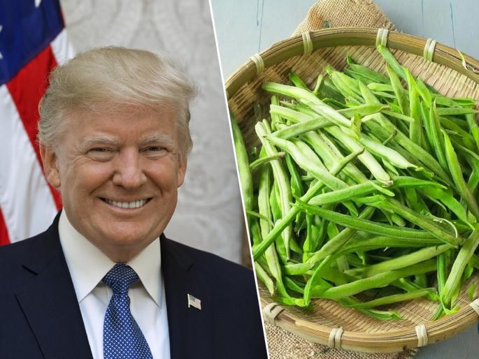 why did Trump impose tariffs on Indian guar beans impact of US tariffs on guar gum exports from India | अमेरिकन राष्ट्राध्यक्षांचा टॅरिफ फटका बसणार गवारच्या भाजीलाही, ट्रम्पला गवारचं काय वावडं आहे?