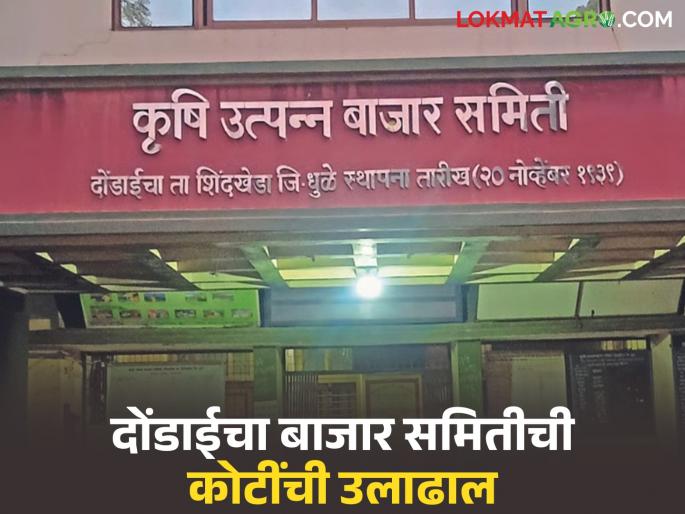 Latest News Agriculture News Dondaicha market turnover in June alone is Rs 14 crore, read in detail | एकट्या जून महिन्यात दोंडाईचा बाजारात 14 कोटी रुपयांची उलाढाल, वाचा सविस्तर 