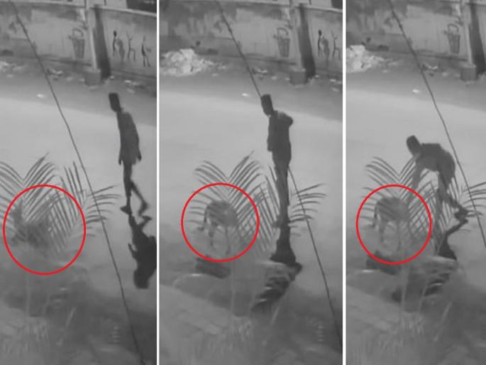 Video: Stray dog stabbed to death; Outrageous incident in Chhatrapati Sambhajinagar | Video: भटक्या श्वानाची चाकूने भोसकून हत्या; छत्रपती संभाजीनगरमधील संतापजनक घटना Video: Stray dog stabbed to death; Outrageous incident in Chhatrapati Sambhajinagar | Video: भटक्या श्वानाची चाकूने भोसकून हत्या; छत्रपती संभाजीनगरमधील संतापजनक घटना