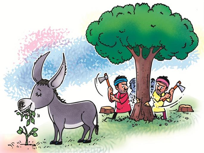 We will do such foolishness again and again! | असा गाढवपणा आम्ही पुन्हा पुन्हा करू ! We will do such foolishness again and again! | असा गाढवपणा आम्ही पुन्हा पुन्हा करू !