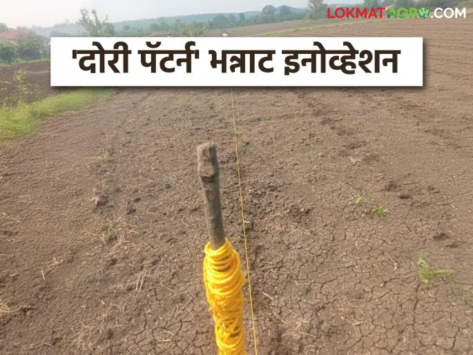 latest news Dori Pattern: A unique experiment by a farmer couple; Read 'Dori Pattern' for cotton in detail | Dori Pattern : शेतकरी जोडप्याचा अनोखा प्रयोग; कपाशीसाठी 'दोरी पॅटर्न' वाचा सविस्तर