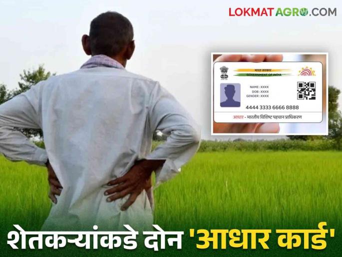 PM Kisan Scheme : The benefits of PM Kisan scheme will be recovered from these farmers in the state read in detail | PM Kisan Scheme : राज्यात या शेतकऱ्यांकडून पीएम किसान योजनेच्या लाभाची होणार वसुली वाचा सविस्तर PM Kisan Scheme : The benefits of PM Kisan scheme will be recovered from these farmers in the state read in detail | PM Kisan Scheme : राज्यात या शेतकऱ्यांकडून पीएम किसान योजनेच्या लाभाची होणार वसुली वाचा सविस्तर