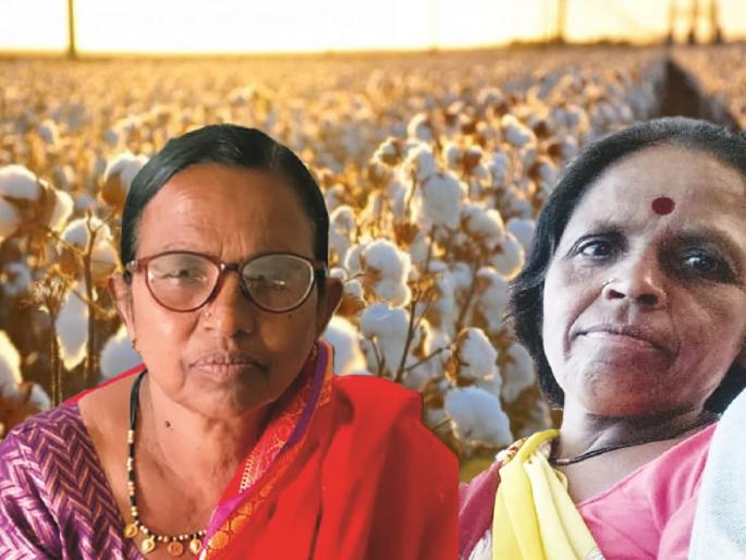 Nanded: Double murder in Mahur taluka; Brutal murder of two women who were picking cotton in the field | Nanded: माहूरात दुहेरी हत्याकांड; शेतात कापूस वेचणाऱ्या दोन सख्या जावांची निर्घृण हत्या