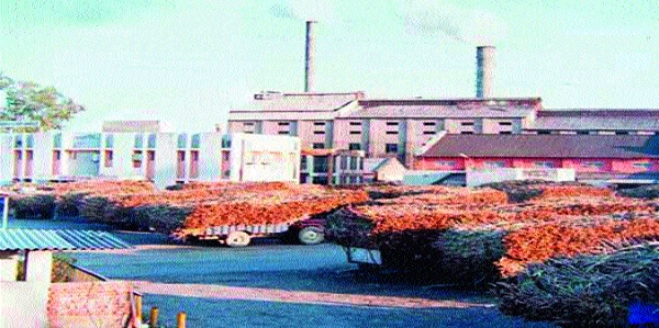 Decision on the possession of the Daulat factory on Monday | दौलत कारखान्याच्या ताब्याचा सोमवारी फैसला Decision on the possession of the Daulat factory on Monday | दौलत कारखान्याच्या ताब्याचा सोमवारी फैसला