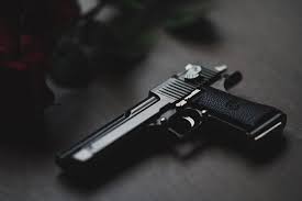 Live cartridges along with village pistols seized from Harivitthal town | हरिविठ्ठल नगरातून गावठी पिस्तुलसह जिवंत काडतुस जप्त Live cartridges along with village pistols seized from Harivitthal town | हरिविठ्ठल नगरातून गावठी पिस्तुलसह जिवंत काडतुस जप्त