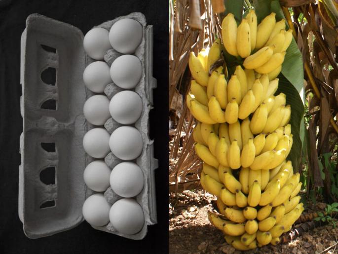 Dozen: Why are there only 12 items in a dozen? Why not 10 or 15, that's the reason | एक डझनमध्ये १२ वस्तूच का मिळतात? १० किंवा १५ का नाहीत, असं आहे कारण Dozen: Why are there only 12 items in a dozen? Why not 10 or 15, that's the reason | एक डझनमध्ये १२ वस्तूच का मिळतात? १० किंवा १५ का नाहीत, असं आहे कारण