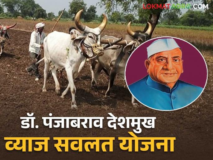 Latest News 6 percent flat interest subsidy, what is Dr. Punjabrao Deshmukh vyaj savlat Yojana See details | Agriculture News : 6 टक्के सरसकट व्याज सवलत, काय आहे डॉ. पंजाबराव देशमुख व्याज सवलत योजना Latest News 6 percent flat interest subsidy, what is Dr. Punjabrao Deshmukh vyaj savlat Yojana See details | Agriculture News : 6 टक्के सरसकट व्याज सवलत, काय आहे डॉ. पंजाबराव देशमुख व्याज सवलत योजना