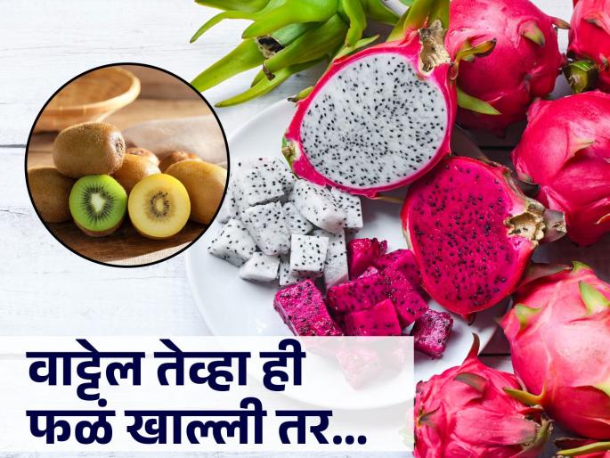 health tips for rainy season when to eat kiwi dragon fruit know the right time know about what expert say | सकाळी की रात्री? पावसाळ्यात किवी, ड्रॅगन फ्रुट कधी खावं, जाणून घ्या योग्य वेळ health tips for rainy season when to eat kiwi dragon fruit know the right time know about what expert say | सकाळी की रात्री? पावसाळ्यात किवी, ड्रॅगन फ्रुट कधी खावं, जाणून घ्या योग्य वेळ