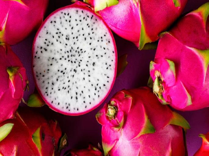 Dragon Fruit-Super Fruit; Does it really increase white blood cells? | ड्रॅगन फ्रूट-सुपर फ्रूट; खरेच पांढऱ्या पेशी वाढविते का? Dragon Fruit-Super Fruit; Does it really increase white blood cells? | ड्रॅगन फ्रूट-सुपर फ्रूट; खरेच पांढऱ्या पेशी वाढविते का?
