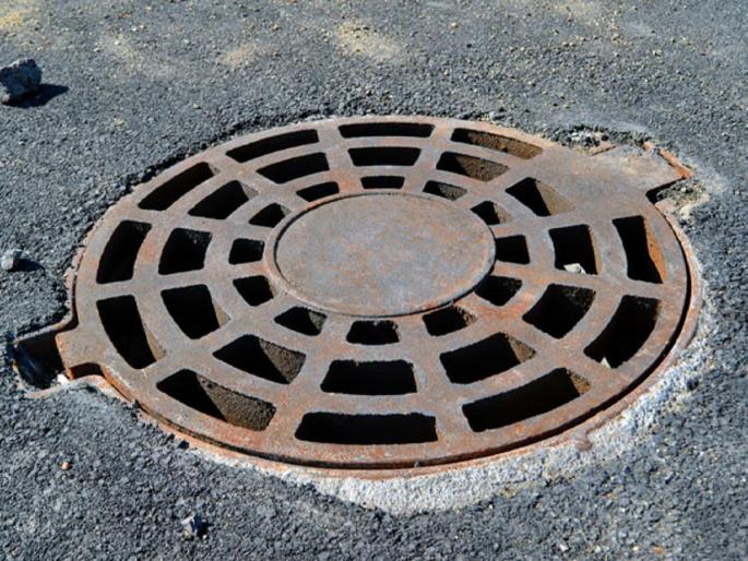 Annoying! Attempts were made to kill the three dogs in the chamber as they were make disturb in sleep | संतापजनक! झोपमोड होते म्हणून तीन श्वानांना चेम्बरमध्ये डांबून जिवे मारण्याचा प्रयत्न