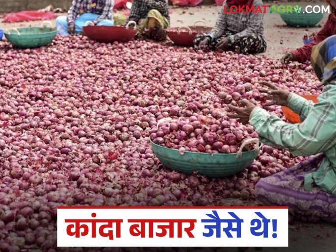 Latest news Kanda Bajarbhav Onion prices down again in solapur see lasalgaon kanda market | सोलापूर कांदा मार्केटला पुन्हा दर खाली आले, लासलगाव मार्केटमध्ये काय दर मिळाला? 