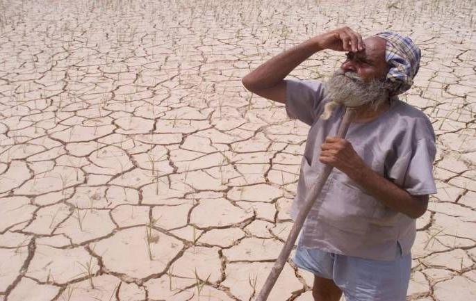 Eight Revenue Circles of Nagpur District in the Drought List | दुष्काळाच्या यादीत नागपूर जिल्ह्यातील आठ महसूल मंडळ