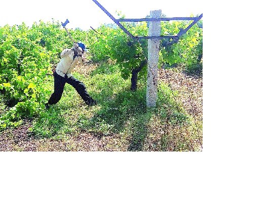 Proposal for 'Draft' of the place in Ranjani for Sangli district: Sanjayanka Patil | सांगली जिल्ह्यासाठी रांजणी येथील जागेचा ‘ड्रायपोर्ट’साठी प्रस्ताव- : संजयकाका पाटील