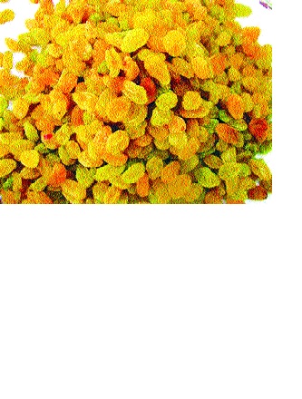  40 lakhs for Manaburi's vineyards: Complaint against Delhi businessman | मणेराजुरीच्या द्राक्षबागायतदारांना ४० लाखांचा गंडा,: दिल्लीतील व्यापाऱ्याविरूध्द तक्रार