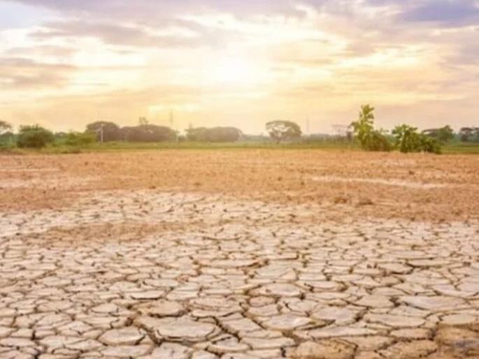 Earth is becoming a desert, 77 percent of the land has become dry; The problem is very serious, billions of people are affected  | पृथ्वीचे होतेय वाळवंट, 77 टक्के जमीन झाली कोरडी; समस्या अतिशय गंभीर, अब्जावधी लाेकांना बसला फटका  Earth is becoming a desert, 77 percent of the land has become dry; The problem is very serious, billions of people are affected  | पृथ्वीचे होतेय वाळवंट, 77 टक्के जमीन झाली कोरडी; समस्या अतिशय गंभीर, अब्जावधी लाेकांना बसला फटका