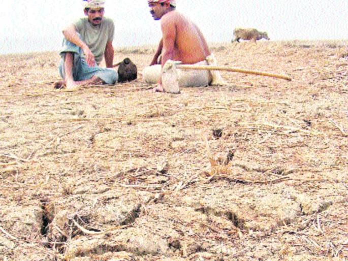 Rabi season: Drought season sowing breaks due to rain! | रब्बी हंगाम : दुष्काळी भागातील पेरणीला पावसाअभावी ब्रेक ! Rabi season: Drought season sowing breaks due to rain! | रब्बी हंगाम : दुष्काळी भागातील पेरणीला पावसाअभावी ब्रेक !