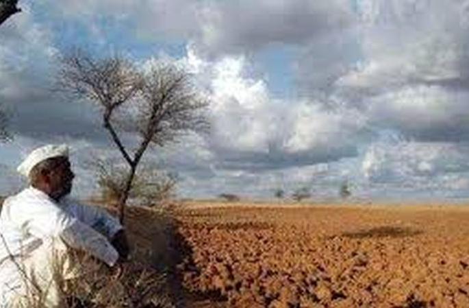 Drought situation will be assessed every 15 days | दर १५ दिवसांनी होणार दुष्काळी परिस्थितीचे मुल्यांकन