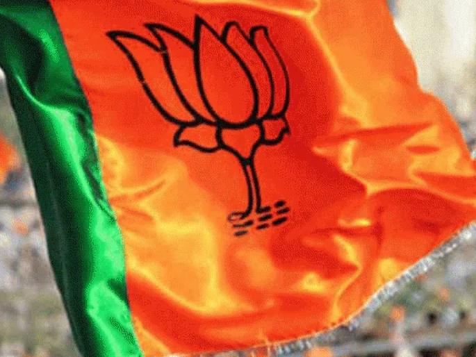 Murder of BJP city vice president in Nagpur | भाजयुमोच्या शहर उपाध्यक्षाची हत्या Murder of BJP city vice president in Nagpur | भाजयुमोच्या शहर उपाध्यक्षाची हत्या