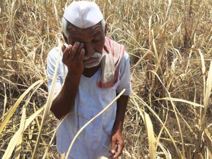 Where do I find employment? Due to drought | कुठे कुठे शोधू रोजगार मी; दुष्काळाची दाहकता Where do I find employment? Due to drought | कुठे कुठे शोधू रोजगार मी; दुष्काळाची दाहकता