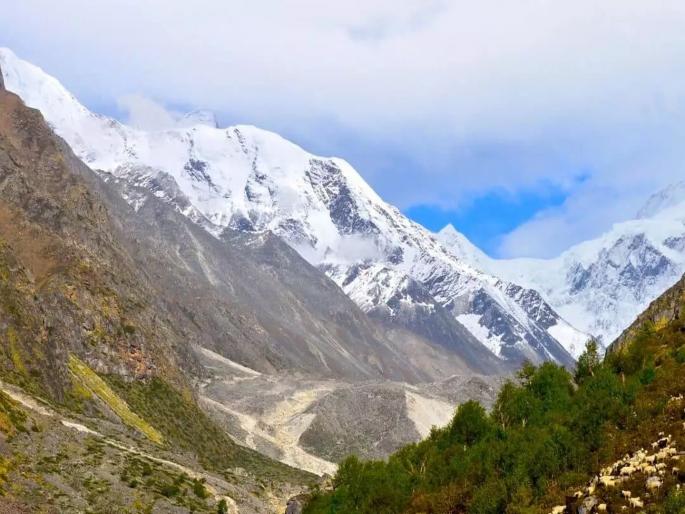 A unique journey of dronagiri in search of sanjivani buti | अखेर द्रोणागिरीवरील (मृत) संजीवनीचा शोध संपला!