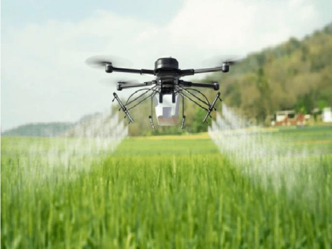 'Drone' sprayed and half an acre of neighbor's okra burned! | 'ड्रोन'ने केली फवारणी अन् शेजारच्या शेतातील सव्वा एकर भेंडी जळाली! 'Drone' sprayed and half an acre of neighbor's okra burned! | 'ड्रोन'ने केली फवारणी अन् शेजारच्या शेतातील सव्वा एकर भेंडी जळाली!