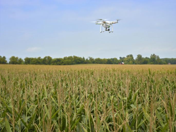 Malshej farmers are using drone for kharif pest control | मशागतीची माळशेज पट्ट्यात लगबग; ड्रोनने होतेय फवारणी Malshej farmers are using drone for kharif pest control | मशागतीची माळशेज पट्ट्यात लगबग; ड्रोनने होतेय फवारणी