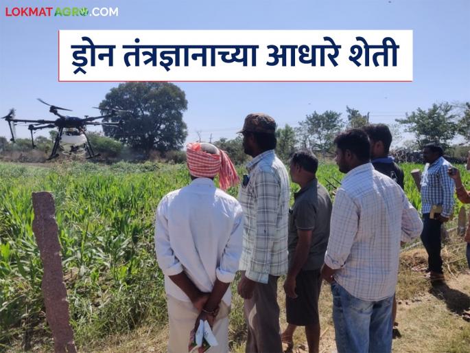 Latest News agriculture News Drone spraying of pesticides increased on crops read in detail | Drone For farming : पिकांवरील औषध फवारणीसाठी ड्रोनचा वापर का? काय आहेत फायदे?