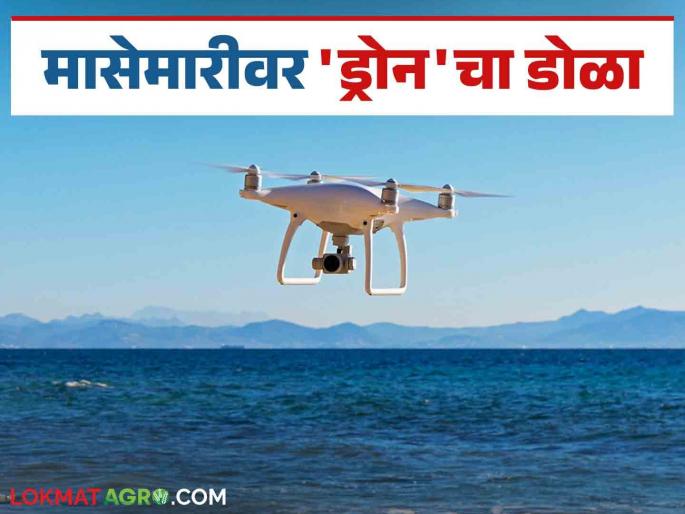 Drone surveillance of boats to curb illegal and unregulated fishing | अवैध व बेकायदेशीर मासेमारीला चाप बसण्यासाठी नौकांवर ड्रोनद्वारे लक्ष Drone surveillance of boats to curb illegal and unregulated fishing | अवैध व बेकायदेशीर मासेमारीला चाप बसण्यासाठी नौकांवर ड्रोनद्वारे लक्ष