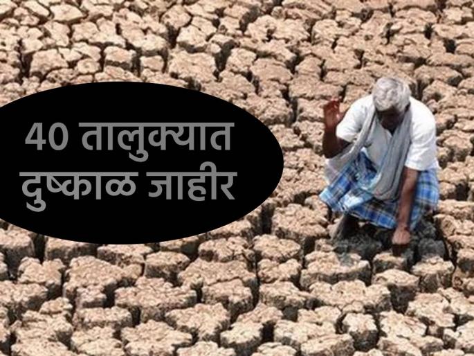 Drought declared in 40 talukas of the state; Decision in cabinet meeting, now help in three hectare limit | राज्यातील ४० तालुक्यांत दुष्काळ जाहीर; मंत्रिमंडळ बैठकीत निर्णय, आता तीन हेक्टर मर्यादेत मदत Drought declared in 40 talukas of the state; Decision in cabinet meeting, now help in three hectare limit | राज्यातील ४० तालुक्यांत दुष्काळ जाहीर; मंत्रिमंडळ बैठकीत निर्णय, आता तीन हेक्टर मर्यादेत मदत