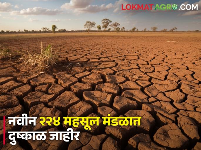 Out of the 1021 revenue circles in the state, drought was declared in the new revenue circles | राज्यात १०२१ महसुली मंडळांपैकी विभाजन झालेल्या नवीन महसुल मंडळांतही दुष्काळ घोषित