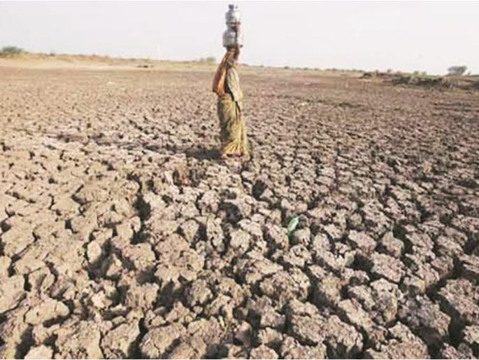 rise in the prise of grain due to drought in state | दुष्काळाच्या चटक्याने गरिबाची भाकरी करपली rise in the prise of grain due to drought in state | दुष्काळाच्या चटक्याने गरिबाची भाकरी करपली