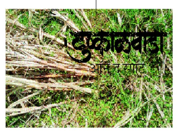 Drought In Marathwada: richness of Godavari basin is spoiled by drought | Drought In Marathwada : गोदाकाठी असलेली समृद्धी यंदाच्या दुष्काळाने हिरावली Drought In Marathwada: richness of Godavari basin is spoiled by drought | Drought In Marathwada : गोदाकाठी असलेली समृद्धी यंदाच्या दुष्काळाने हिरावली