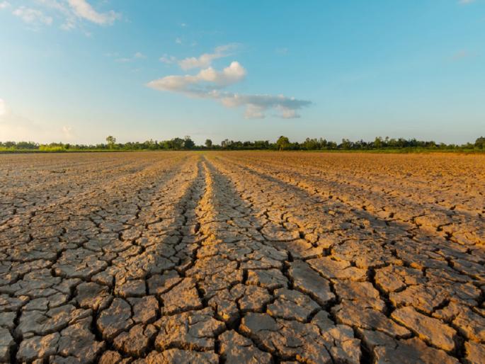 Newly added 13 mandals in the district drought-like situation Decision of the state government, eight concessions applicable | जिल्हा दुष्काळसदृश्य परिस्थितीत नव्याने केला १३ मंडळाचा समावेश; राज्य शासनाचा निर्णय, आठ सवलती लागू Newly added 13 mandals in the district drought-like situation Decision of the state government, eight concessions applicable | जिल्हा दुष्काळसदृश्य परिस्थितीत नव्याने केला १३ मंडळाचा समावेश; राज्य शासनाचा निर्णय, आठ सवलती लागू