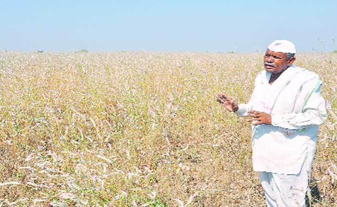 Drought package help to 1.5 lakh farmer's account | दुष्काळी पॅकेजची मदत दीड लाख शेतकऱ्यांच्या खात्यात