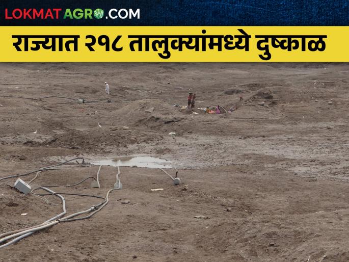 Inspection of Central Government Team; Acknowledgment of drought in the state | केंद्रीय पथकाची पाहणी; राज्यात दुष्काळाची कबुली Inspection of Central Government Team; Acknowledgment of drought in the state | केंद्रीय पथकाची पाहणी; राज्यात दुष्काळाची कबुली