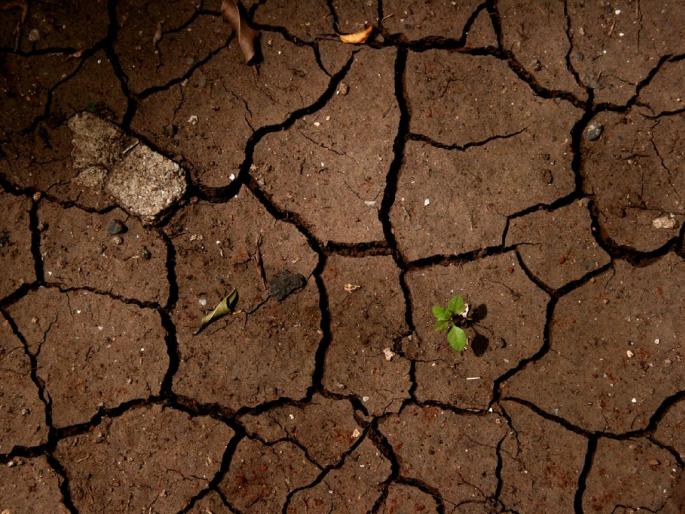 When drought is a declared? | दुष्काळ कधी जाहीर केला जातो? When drought is a declared? | दुष्काळ कधी जाहीर केला जातो?