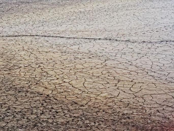 Due to drought, there is a lot of worry about ballots | दुष्काळापेक्षा मतपेटीचीच चिंता Due to drought, there is a lot of worry about ballots | दुष्काळापेक्षा मतपेटीचीच चिंता
