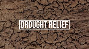 Tahsiladar's negligence to submission of drought relief proposal! | दुष्काळी मदतीचे प्रस्ताव सादर करण्याकडे तहसीलदारांचा कानाडोळा! Tahsiladar's negligence to submission of drought relief proposal! | दुष्काळी मदतीचे प्रस्ताव सादर करण्याकडे तहसीलदारांचा कानाडोळा!
