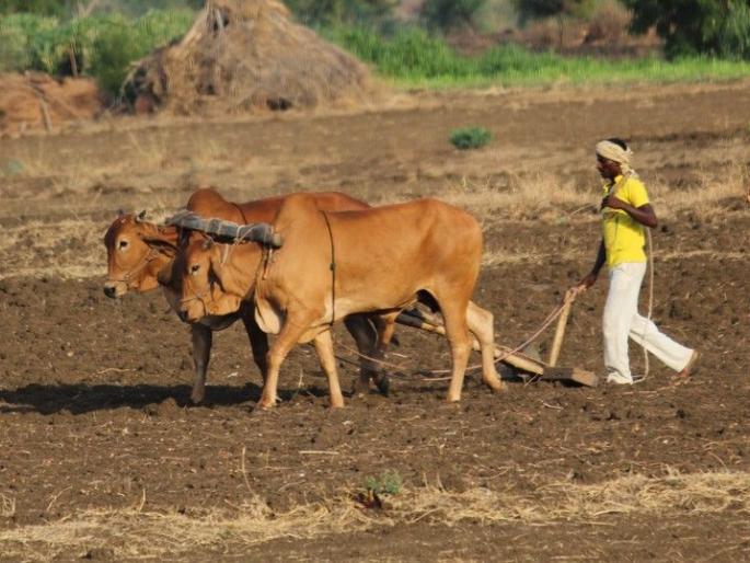 61 crore drought relief to farmers distributed | शेतकऱ्यांना ६१ कोटींची दुष्काळी मदत वितरित! 61 crore drought relief to farmers distributed | शेतकऱ्यांना ६१ कोटींची दुष्काळी मदत वितरित!
