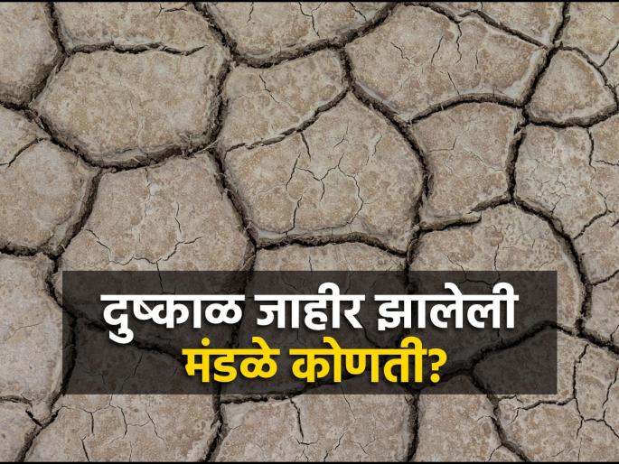Drought in 1021 circles in the second phase in the state; Issued a government decision | राज्यात दुसऱ्या टप्प्यात १०२१ मंडळात दुष्काळ; शासन निर्णय निर्गमित Drought in 1021 circles in the second phase in the state; Issued a government decision | राज्यात दुसऱ्या टप्प्यात १०२१ मंडळात दुष्काळ; शासन निर्णय निर्गमित