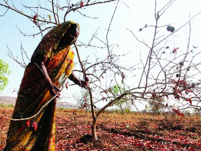 Demand for 7 thousand crores center - Chief Minister | ७ हजार कोटींची केंद्राकडे मागणी - मुख्यमंत्री