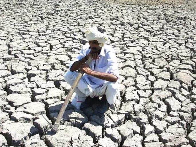 Signs of fodder shortage in Purandar, District Collectors fear that the situation will worsen in 10 days | पुरंदरमध्ये चाराटंचाईची चिन्हे, १० दिवसांत परिस्थिती गंभीर होण्याची जिल्हाधिकाऱ्यांना भीती