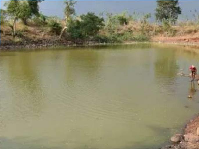 Shadow of Drought in Satara District; 400 mm rainfall deficit at Koyna, Mahabaleshwar | सातारा जिल्ह्यात दुष्काळाची छाया; कोयना, महाबळेश्वरला ४०० मिलीमीटर पर्जन्यमानाची तूट Shadow of Drought in Satara District; 400 mm rainfall deficit at Koyna, Mahabaleshwar | सातारा जिल्ह्यात दुष्काळाची छाया; कोयना, महाबळेश्वरला ४०० मिलीमीटर पर्जन्यमानाची तूट