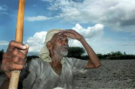 Two lakh farmers in drought trouble! | दोन लाख शेतकरी दुष्काळाच्या कचाट्यात!  Two lakh farmers in drought trouble! | दोन लाख शेतकरी दुष्काळाच्या कचाट्यात!