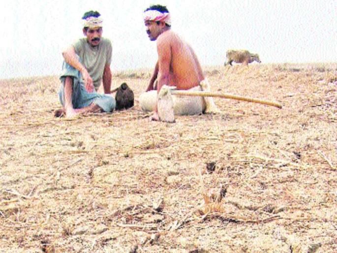 The need for sustainable measures for drought | दुष्काळासाठी शाश्वत उपाययोजनांची गरज The need for sustainable measures for drought | दुष्काळासाठी शाश्वत उपाययोजनांची गरज